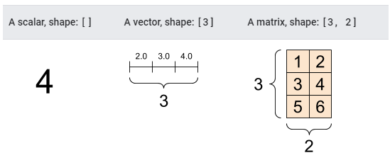 tensor shapes